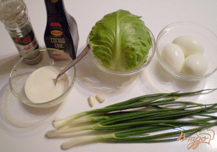 Фото приготовление рецепта: Капустный салат с яйцом и соевым соусом шаг №1
