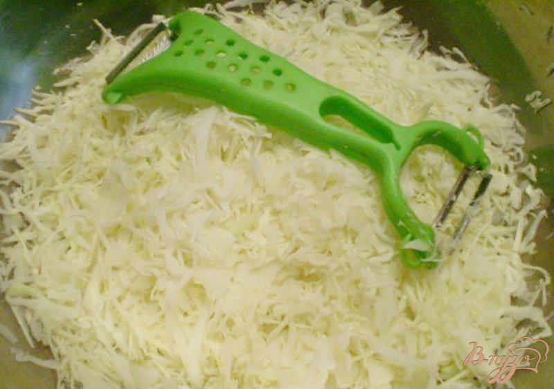 Фото приготовление рецепта: Салат из капусты и имбиря шаг №2