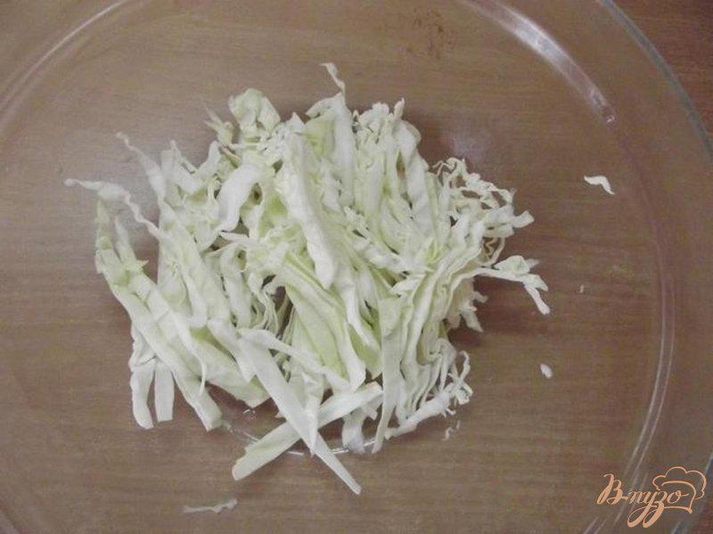 Фото приготовление рецепта: Французский капустный салат шаг №1