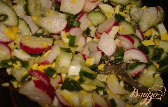 Фото приготовление рецепта: Салат из молодой редиски и огурца шаг №4