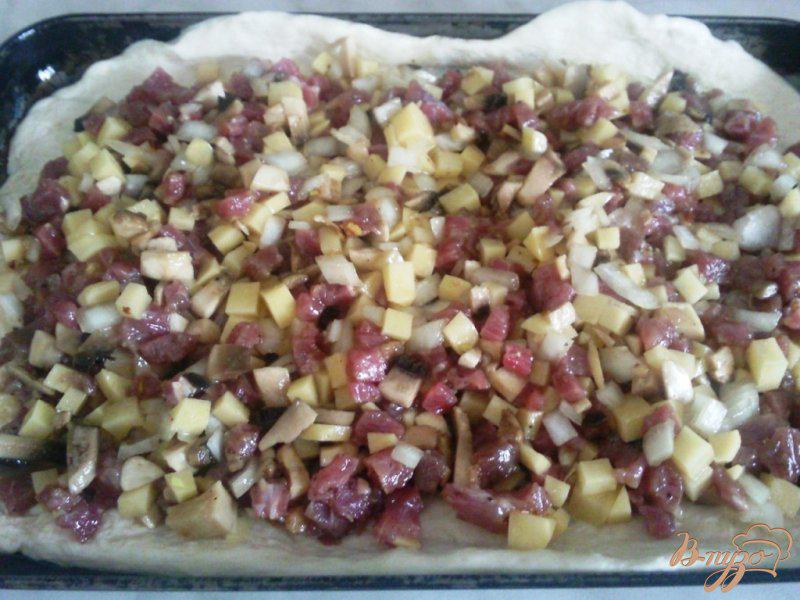 Фото приготовление рецепта: Мясной пирог с грибами и картофелем шаг №3