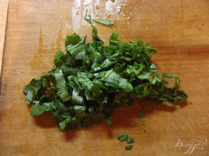 Фото приготовление рецепта: Салат из листовой зелени шаг №3