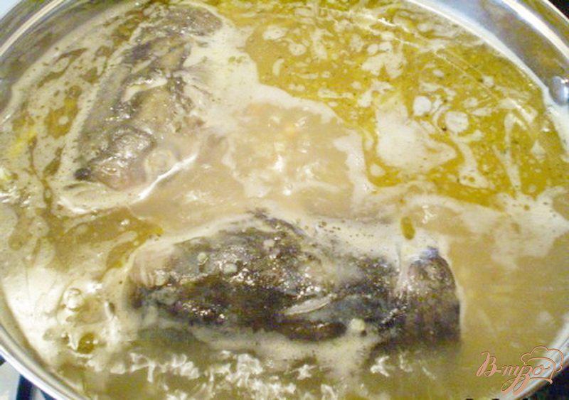 Фото приготовление рецепта: Рыбный суп с пшеном шаг №4