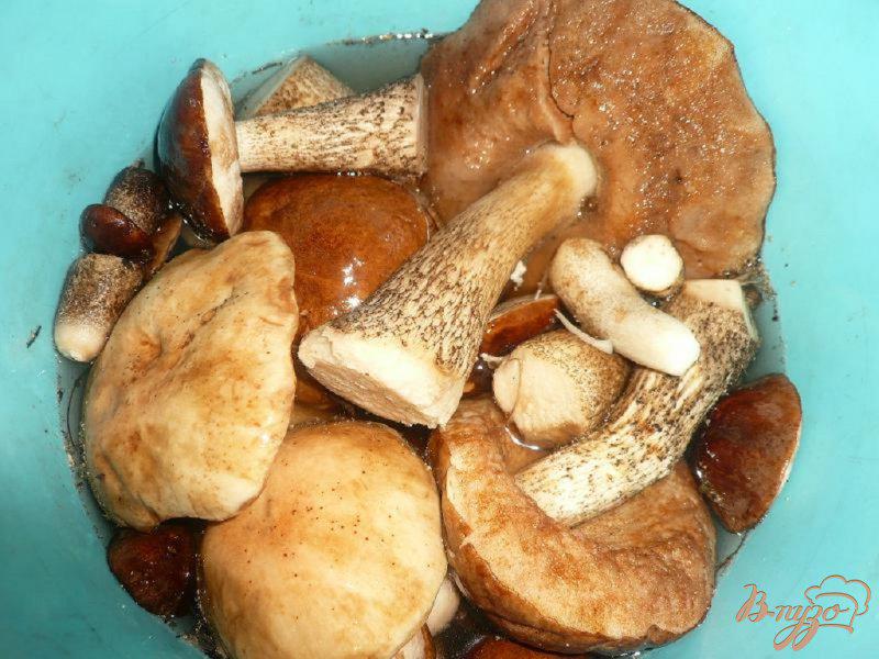 Фото приготовление рецепта: Суп-пюре из грибов и картофеля шаг №1