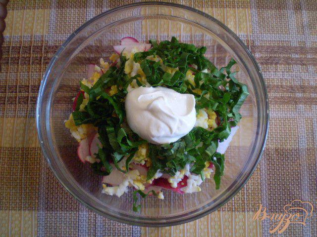 Фото приготовление рецепта: Салат весенний с черемшой шаг №5