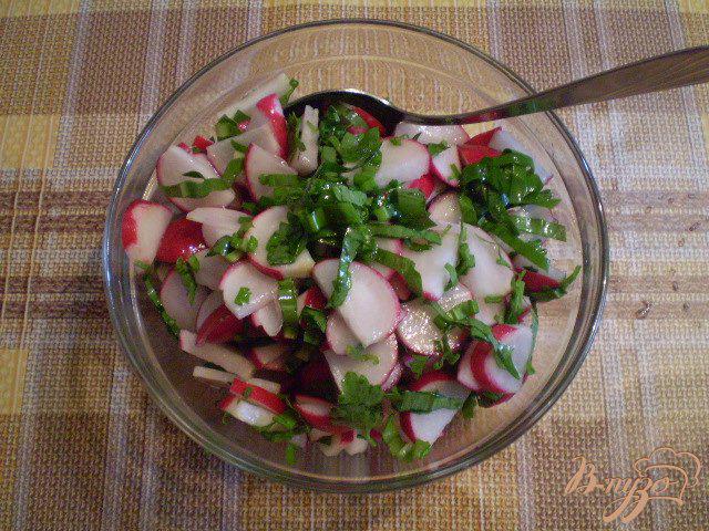 Фото приготовление рецепта: Салат из редиса с петрушкой и черемшой шаг №4