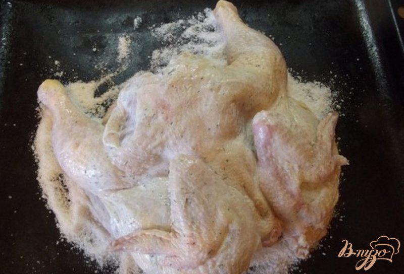Фото приготовление рецепта: Сочный цыпленок на солевой бане шаг №7