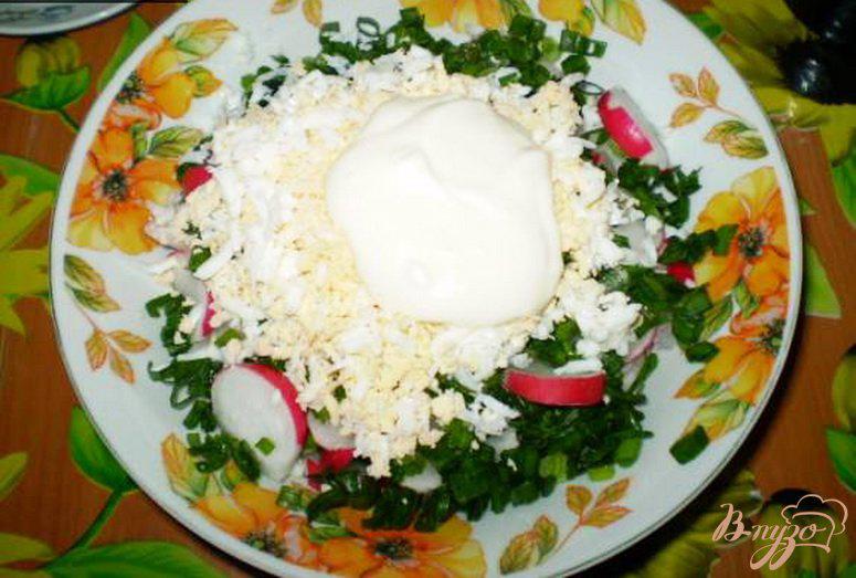 Фото приготовление рецепта: Салат из редиса с яйцом и зеленью шаг №2