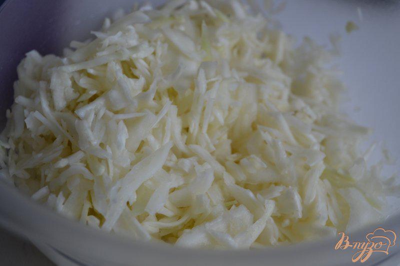 Фото приготовление рецепта: Салат из белокочанной капусты шаг №1