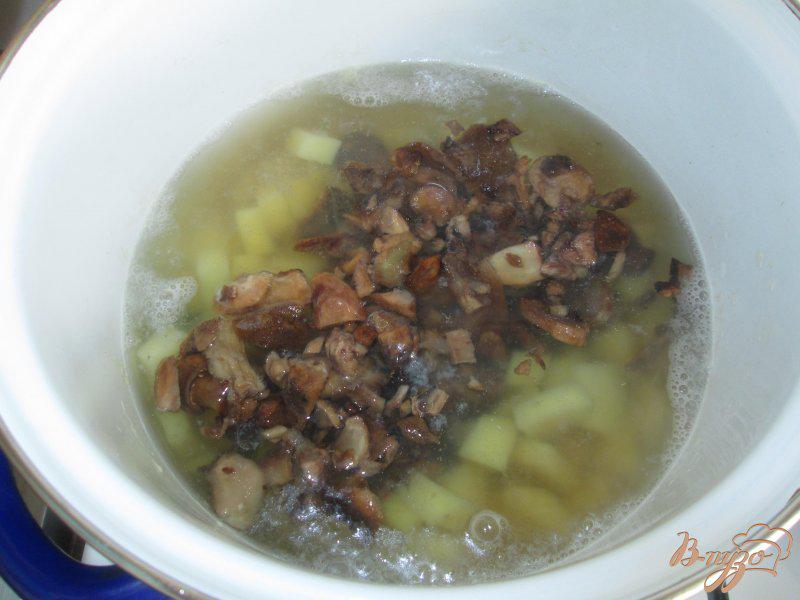 Фото приготовление рецепта: Суп грибной с маслятами и шампиньонами шаг №3