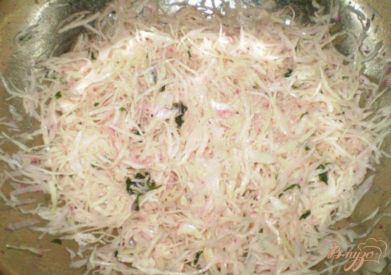 Фото приготовление рецепта: Розовый салат из капусты и редьки шаг №5
