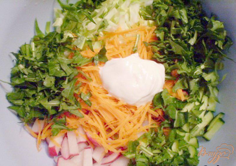 Фото приготовление рецепта: Редисковый салат с капустой и листьями одуванчика шаг №2