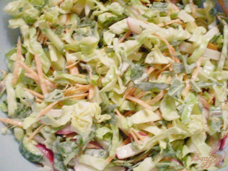 Фото приготовление рецепта: Редисковый салат с капустой и листьями одуванчика шаг №3