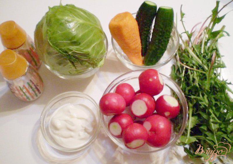 Фото приготовление рецепта: Редисковый салат с капустой и листьями одуванчика шаг №1