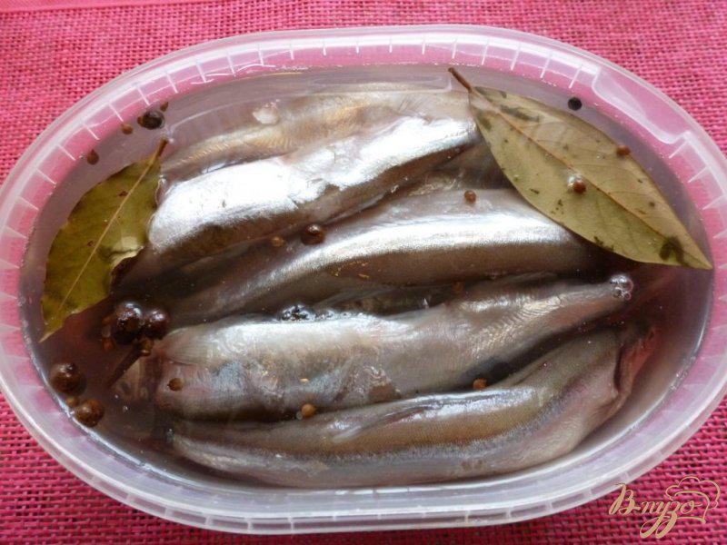 Фото приготовление рецепта: Универсальный рецепт для засолки рыбы (сельди,мойвы,скумбрии) шаг №4