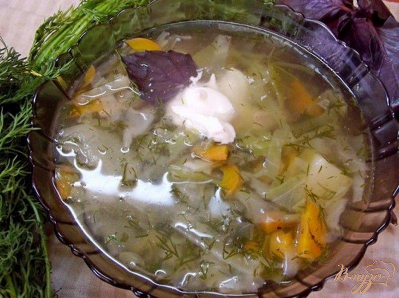 Фото приготовление рецепта: Суп из молодых овощей шаг №6