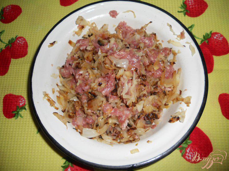 Фото приготовление рецепта: Пельмени с мясом и капустой на пару шаг №9