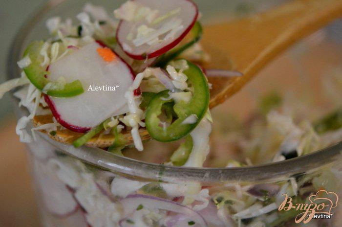 Фото приготовление рецепта: Салат с капустой и редисом по-мексикански шаг №5