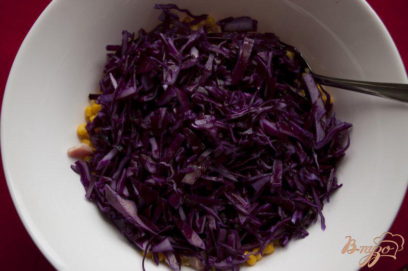 Фото приготовление рецепта: Салат из краснокачанной капусты шаг №3