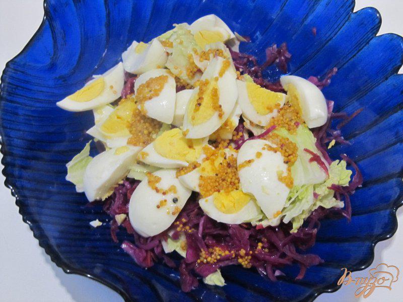 Фото приготовление рецепта: Салат из пекинской и краснокочанной капусты шаг №6