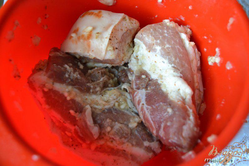 Фото приготовление рецепта: Свиная грудинка в двух пакетах шаг №1