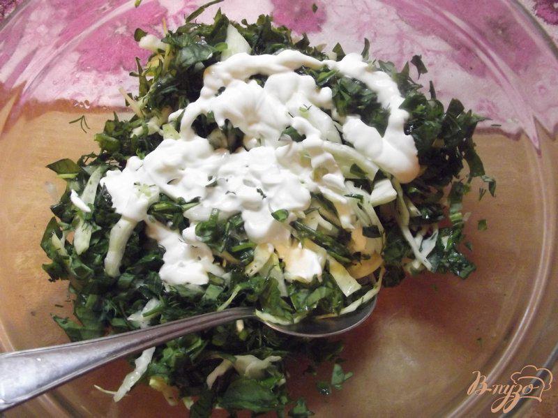 Фото приготовление рецепта: Весенний капустный салат шаг №7