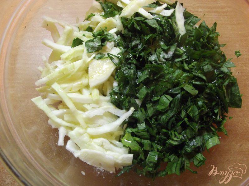 Фото приготовление рецепта: Весенний капустный салат шаг №6