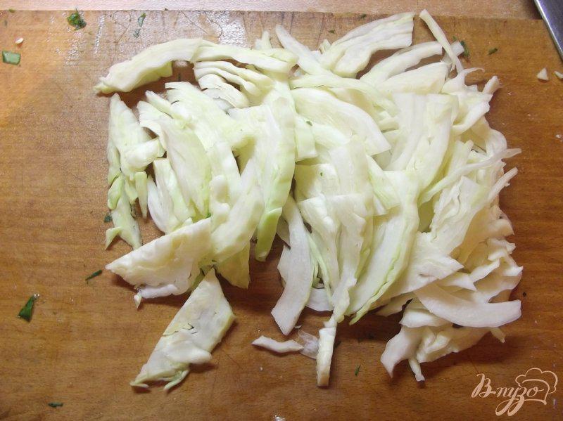 Фото приготовление рецепта: Весенний капустный салат шаг №5