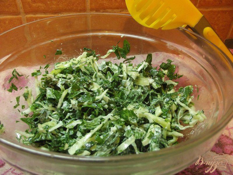 Фото приготовление рецепта: Весенний капустный салат шаг №8