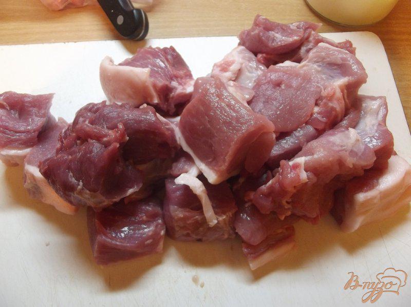 Фото приготовление рецепта: Шашлык свиной по-студенчески шаг №2