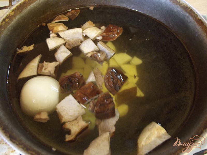 Фото приготовление рецепта: Суп с двумя видами грибов шаг №4