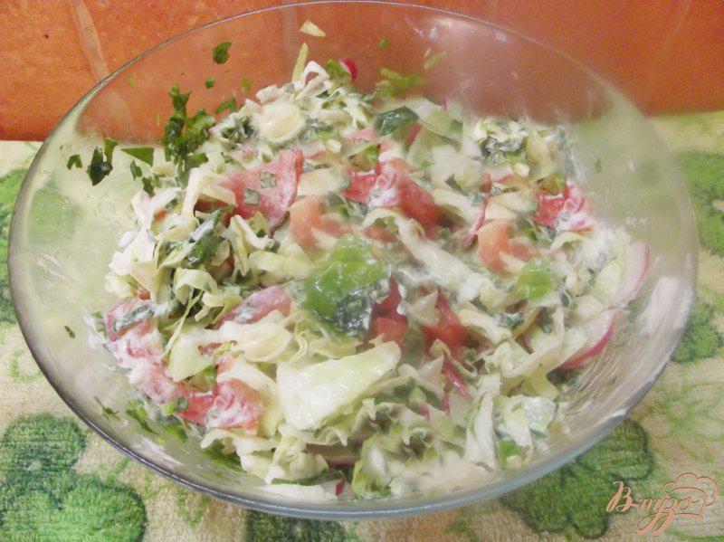 Фото приготовление рецепта: Салат ассорти из овощей и зелени шаг №5