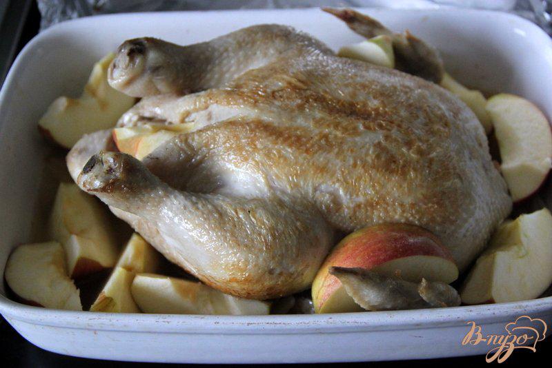 Фото приготовление рецепта: Курица, запечённая в сидре, с яблоками и луком шаг №4