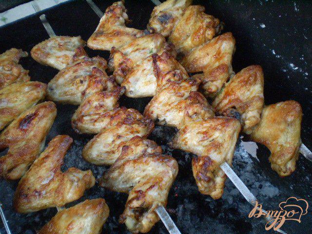 Фото приготовление рецепта: Крылышки жаренные на мангале шаг №4