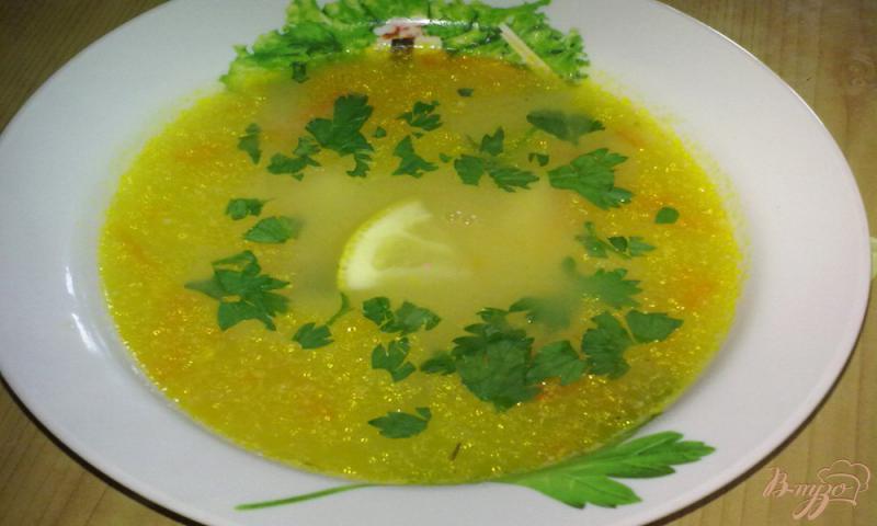 Фото приготовление рецепта: Простой куриный суп с рисом шаг №8