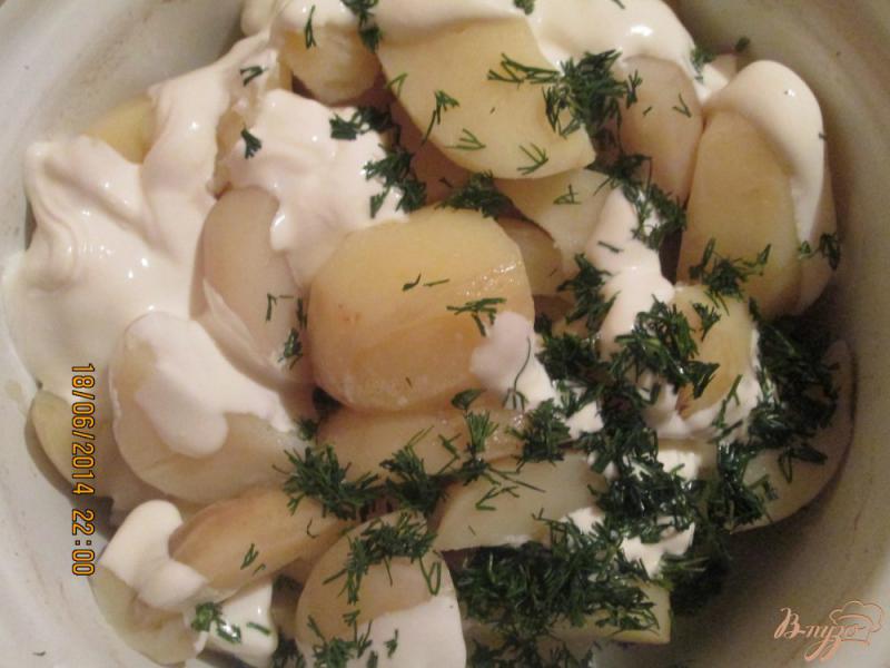 Фото приготовление рецепта: Молодая картошка со сметаной шаг №3