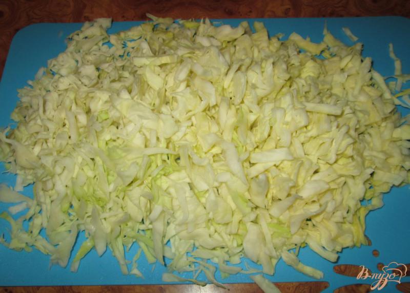 Фото приготовление рецепта: Капустный салат с морковью и яблоком шаг №1