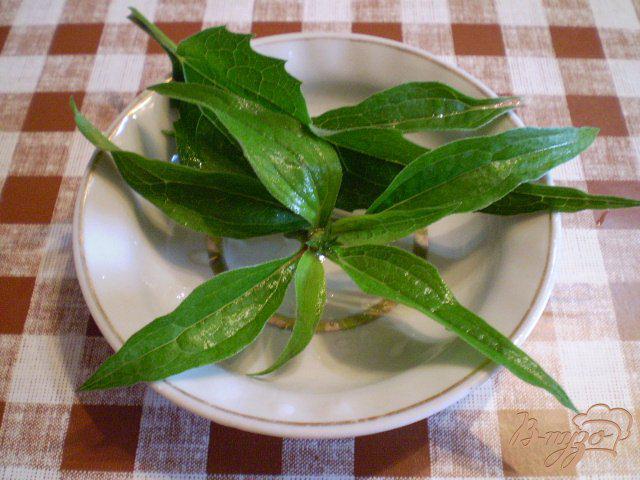 Фото приготовление рецепта: Напиток из красной смородины и листьев эхинацеи пурпурной шаг №2