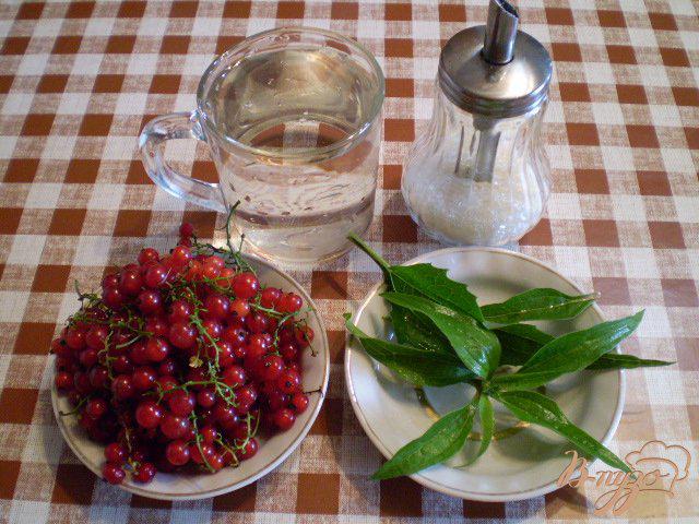 Фото приготовление рецепта: Напиток из красной смородины и листьев эхинацеи пурпурной шаг №1