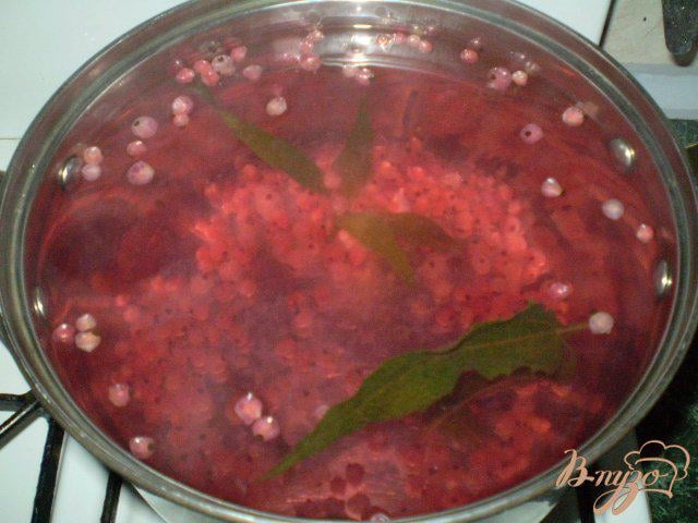 Фото приготовление рецепта: Напиток из красной смородины и листьев эхинацеи пурпурной шаг №5