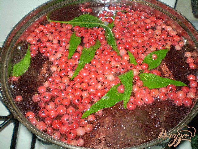 Фото приготовление рецепта: Напиток из красной смородины и листьев эхинацеи пурпурной шаг №4