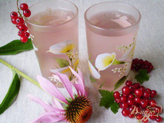 Фото приготовление рецепта: Напиток из красной смородины и листьев эхинацеи пурпурной шаг №7