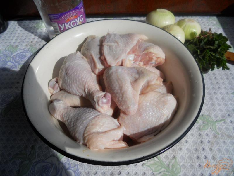 Фото приготовление рецепта: Шашлык куриный шаг №1