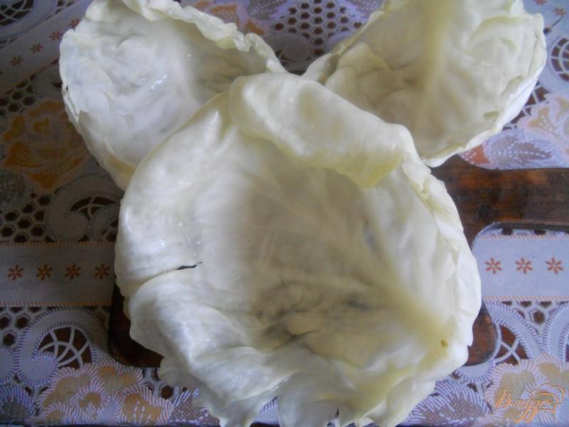 Фото приготовление рецепта: Голубцы в томатно-сметанном соусе шаг №4