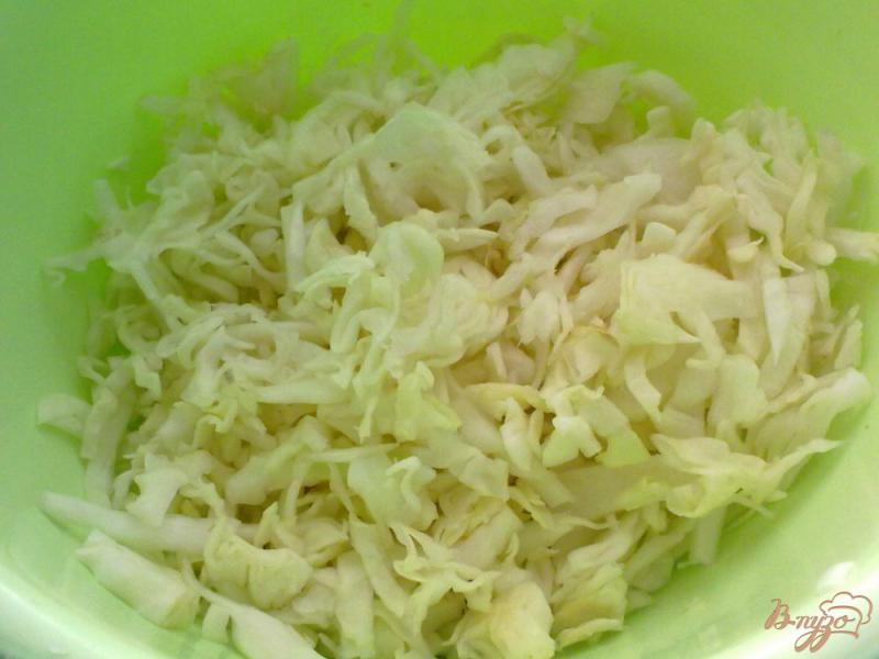 Фото приготовление рецепта: Салат с капустой и курагой шаг №1