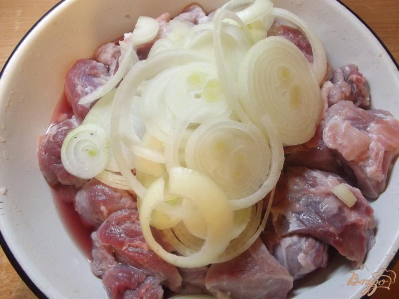 Фото приготовление рецепта: Шашлык из свинины в сладком маринаде шаг №1