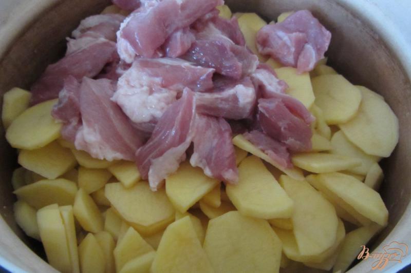 Фото приготовление рецепта: Аппетитный картофель тушенный с грибами и свининой. шаг №3