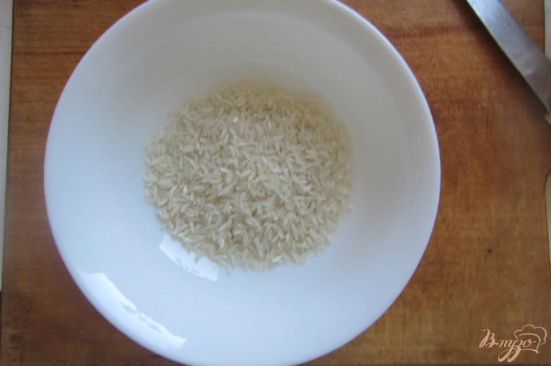 Фото приготовление рецепта: Суп рисовый на индейки с помидорами без зажарки шаг №3