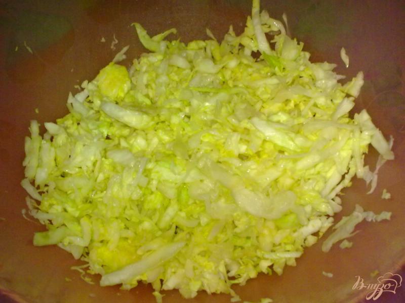 Фото приготовление рецепта: Салат из капусты шаг №1