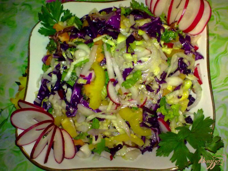 Фото приготовление рецепта: Салат из капусты шаг №8